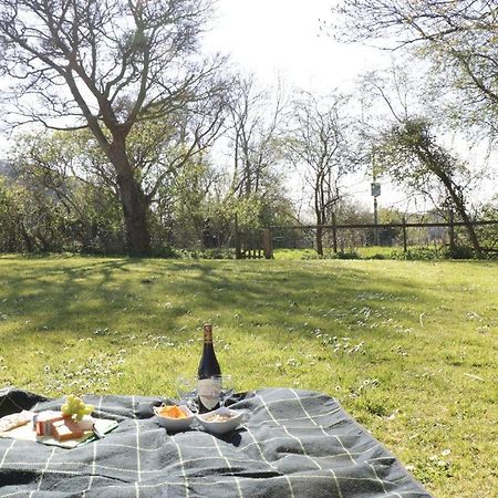 The Nest - Family Friendly Caravan Nr Glastonbury & Street Somerton  Exteriér fotografie