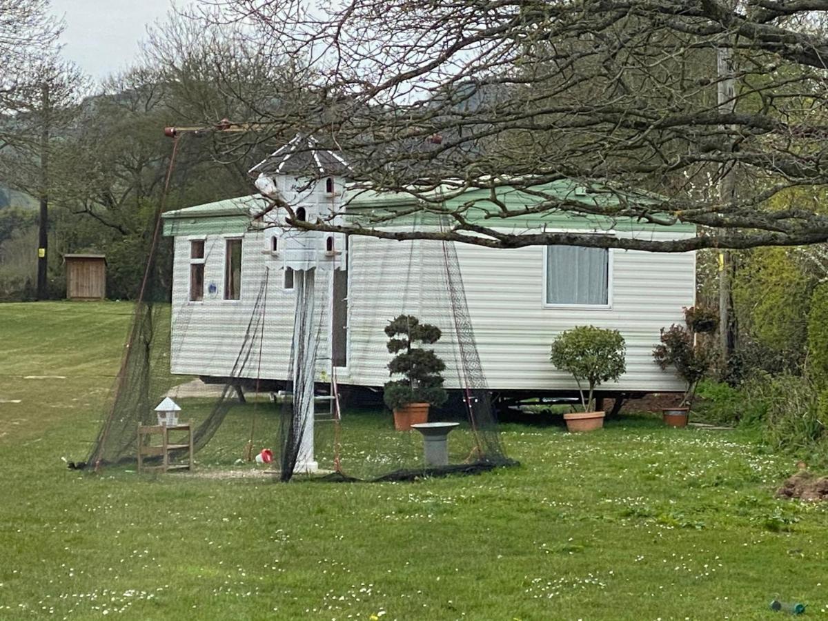The Nest - Family Friendly Caravan Nr Glastonbury & Street Somerton  Exteriér fotografie